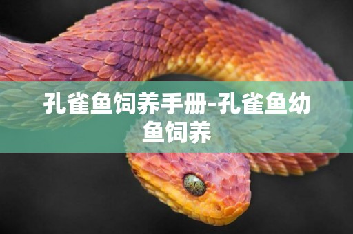 孔雀魚飼養手冊-孔雀魚幼魚飼養