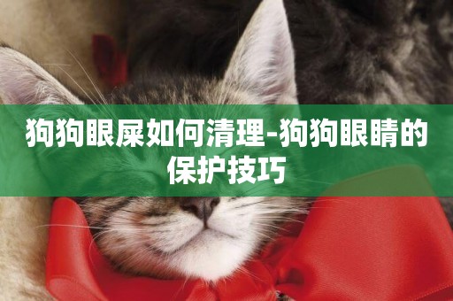 狗狗眼屎如何清理-狗狗眼睛的保護技巧