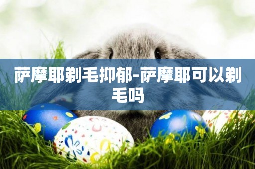 薩摩耶剃毛抑郁-薩摩耶可以剃毛嗎