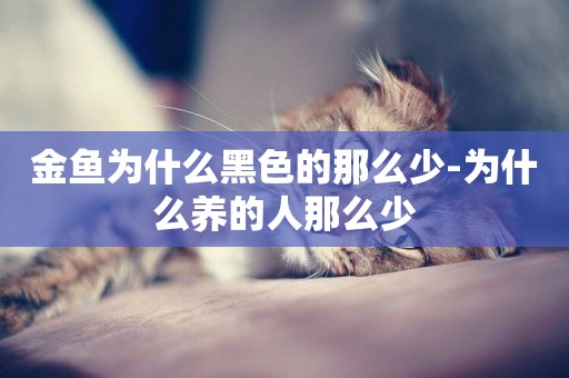 金魚為什么黑色的那么少-為什么養的人那么少