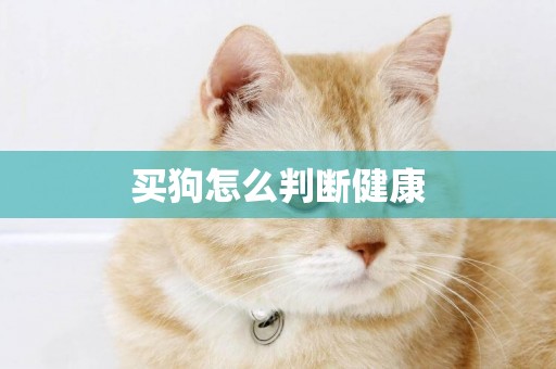 買狗怎么判斷健康