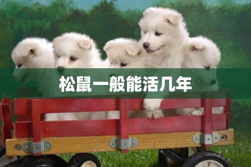 松鼠一般能活幾年