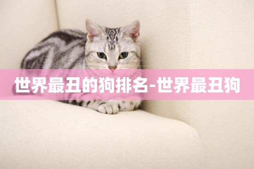 世界最丑的狗排名-世界最丑狗