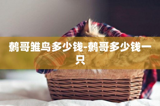 鷯哥雛鳥多少錢-鷯哥多少錢一只