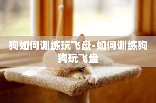 狗如何訓練玩飛盤-如何訓練狗狗玩飛盤