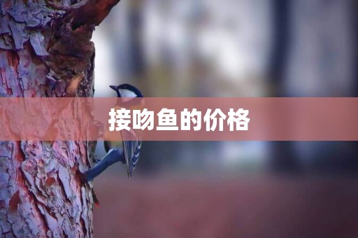 接吻魚的價格