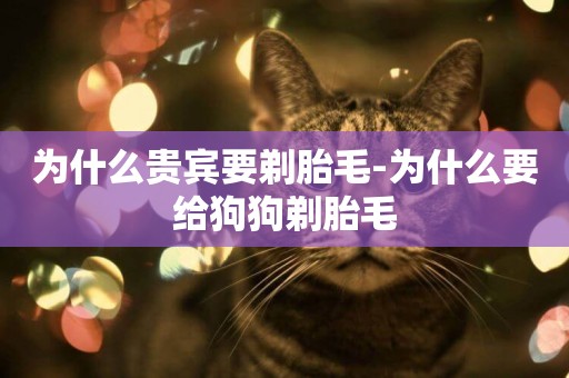 為什么貴賓要剃胎毛-為什么要給狗狗剃胎毛