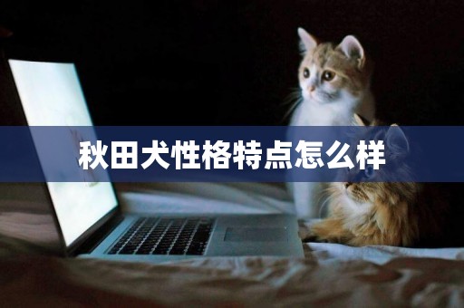 秋田犬性格特點怎么樣