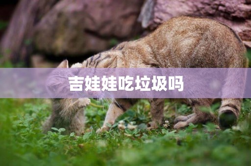 吉娃娃吃垃圾嗎