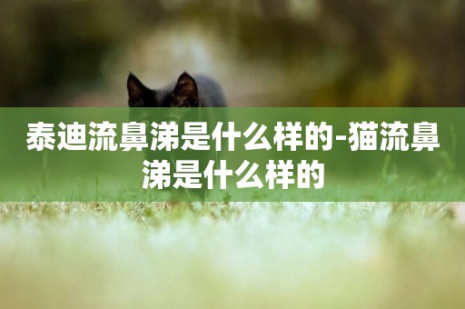 泰迪流鼻涕是什么樣的-貓流鼻涕是什么樣的