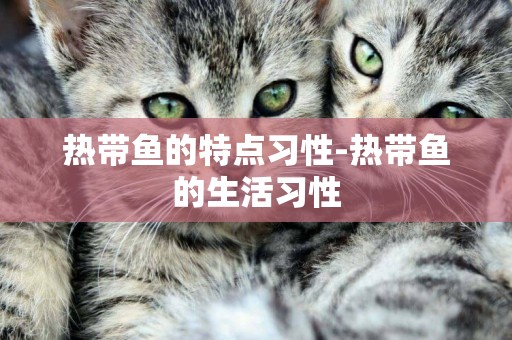 熱帶魚的特點習性-熱帶魚的生活習性
