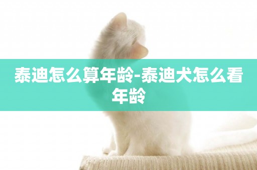 泰迪怎么算年齡-泰迪犬怎么看年齡