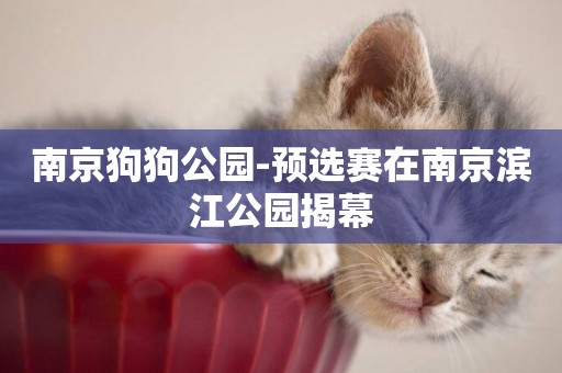 南京狗狗公園-預選賽在南京濱江公園揭幕