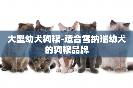 大型幼犬狗糧-適合雪納瑞幼犬的狗糧品牌