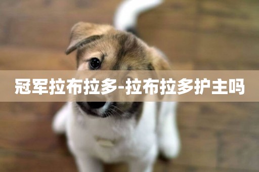 冠軍拉布拉多-拉布拉多護主嗎