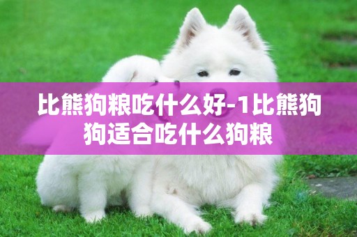 比熊狗糧吃什么好-1比熊狗狗適合吃什么狗糧