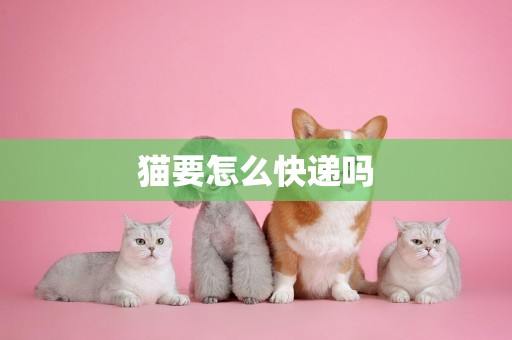 貓要怎么快遞嗎