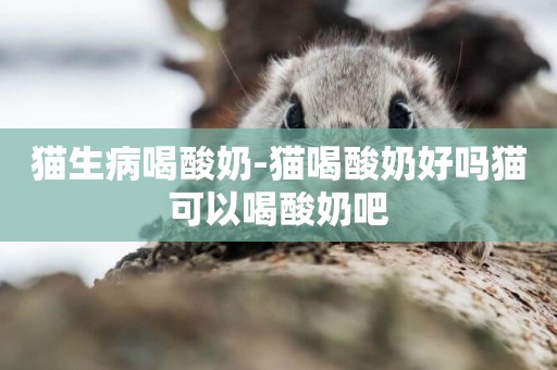 貓生病喝酸奶-貓喝酸奶好嗎貓可以喝酸奶吧