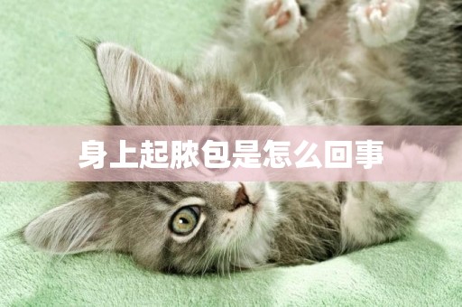 身上起膿包是怎么回事