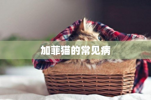 加菲貓的常見病