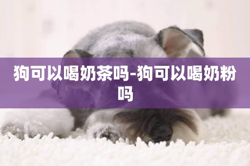 狗可以喝奶茶嗎-狗可以喝奶粉嗎
