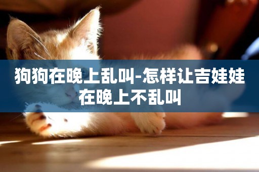 狗狗在晚上亂叫-怎樣讓吉娃娃在晚上不亂叫