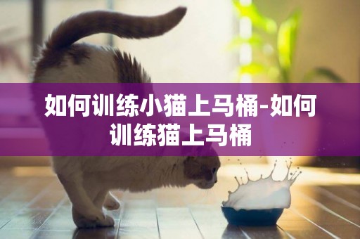 如何訓練小貓上馬桶-如何訓練貓上馬桶