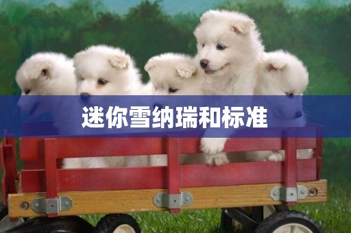 迷你雪納瑞和標準