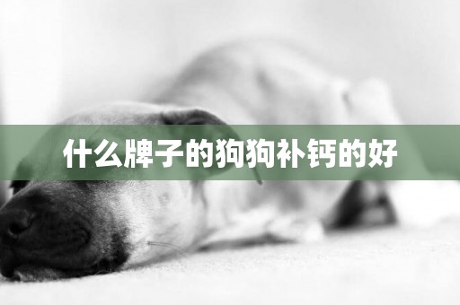 什么牌子的狗狗補鈣的好