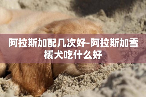 阿拉斯加配幾次好-阿拉斯加雪橇犬吃什么好