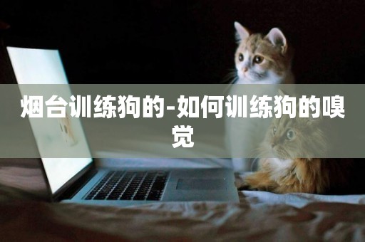 煙臺訓練狗的-如何訓練狗的嗅覺