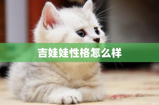 吉娃娃性格怎么樣
