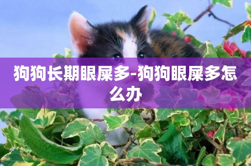 狗狗長期眼屎多-狗狗眼屎多怎么辦
