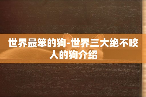 世界最笨的狗-世界三大絕不咬人的狗介紹