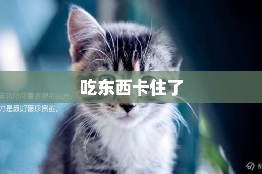 吃東西卡住了