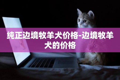 純正邊境牧羊犬價格-邊境牧羊犬的價格