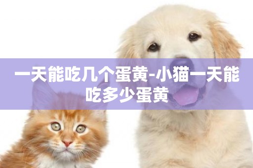 一天能吃幾個蛋黃-小貓一天能吃多少蛋黃