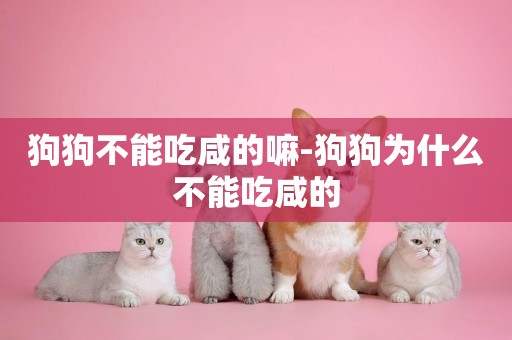 狗狗不能吃咸的嘛-狗狗為什么不能吃咸的
