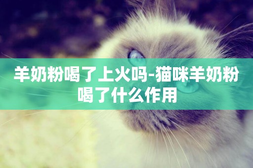 羊奶粉喝了上火嗎-貓咪羊奶粉喝了什么作用