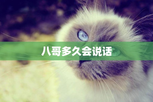 八哥多久會說話