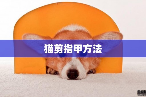 貓剪指甲方法