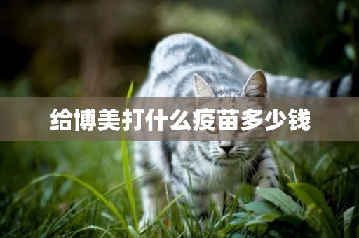給博美打什么疫苗多少錢