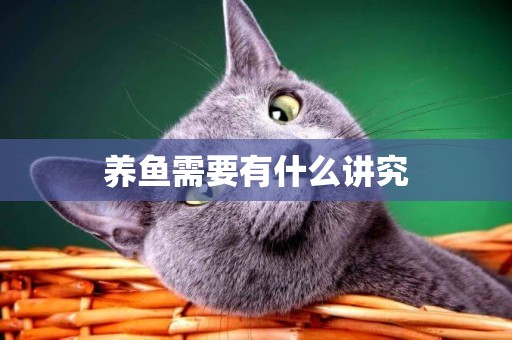 養魚需要有什么講究