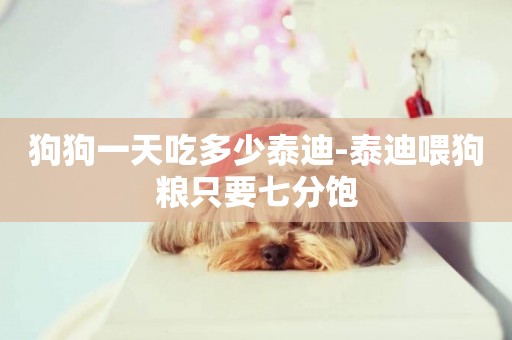 狗狗一天吃多少泰迪-泰迪喂狗糧只要七分飽