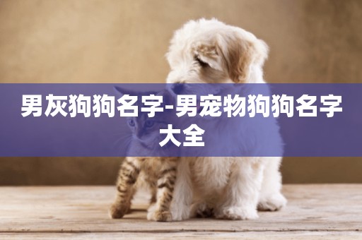 男灰狗狗名字-男寵物狗狗名字大全