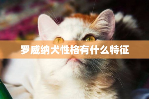羅威納犬性格有什么特征