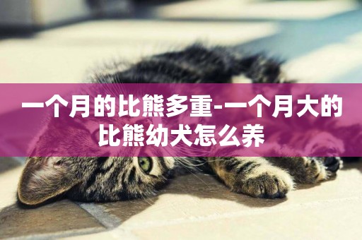一個月的比熊多重-一個月大的比熊幼犬怎么養