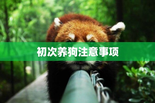 初次養狗注意事項