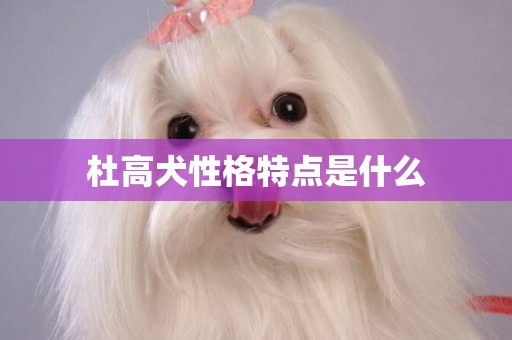 杜高犬性格特點是什么