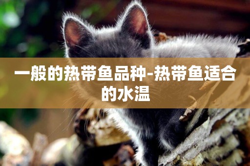 一般的熱帶魚品種-熱帶魚適合的水溫